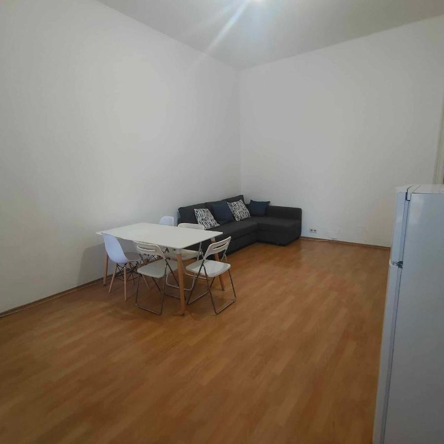 Large 4 Room Apartment In The Center Of ウィーン エクステリア 写真