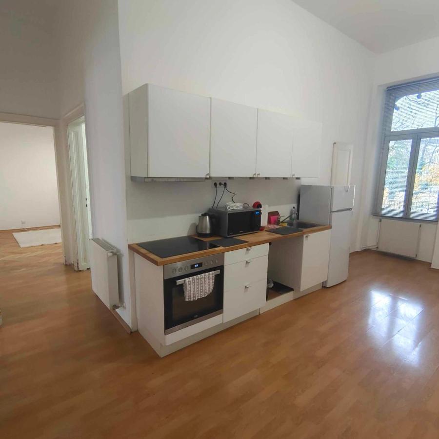 Large 4 Room Apartment In The Center Of ウィーン エクステリア 写真